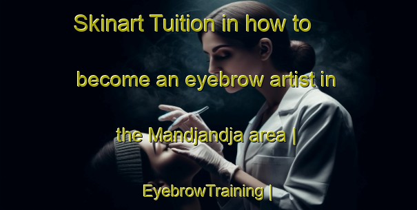 Skinart Tuition in how to become an eyebrow artist in the Mandjandja area | EyebrowTraining | EyebrowClasses | SkinartTraining-Congo